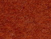 REVEXP 1984  CORAL