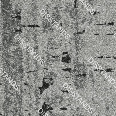 Loseta Canopdis - Imagen 5