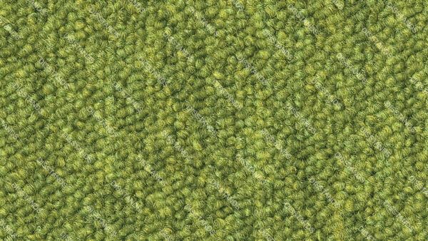 Losetas Essendis - Imagen 20