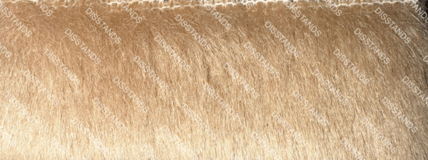 Detalle de textura de moqueta tipo pelo en tono beige caramelo con acabado suave y denso