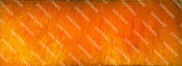 Detalle de textura de moqueta tipo pelo en tono beige caramelo con acabado suave y denso