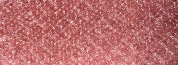 Ficha técnica moqueta Velvedis: composición 100% poliéster, peso 650 gr/m², ancho 200 cm, certificación Fire Resistant