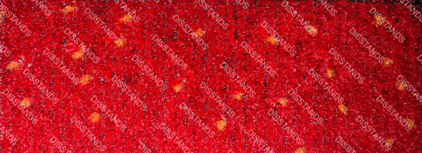 Velvedis Design C - Imagen 11