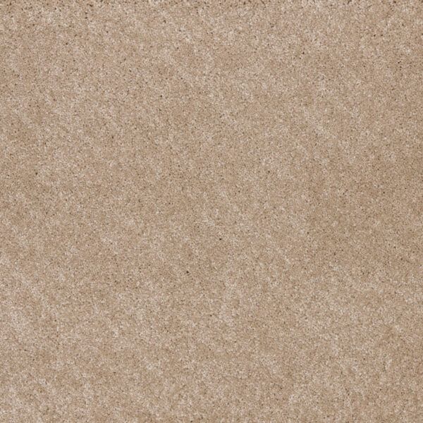 Moqueta pelo profundo confort Saxonydis textura suave polipropileno