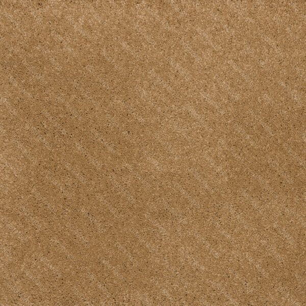 Moqueta pelo profundo confort Saxonydis textura suave polipropileno