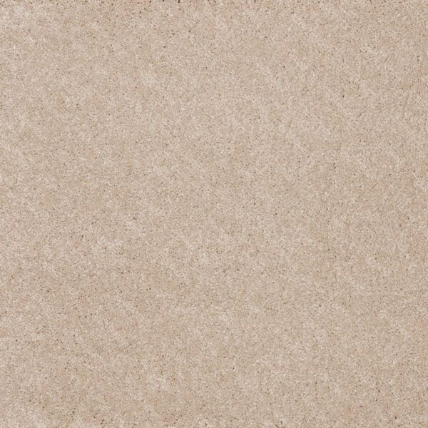 Moqueta pelo profundo confort Saxonydis textura suave polipropileno