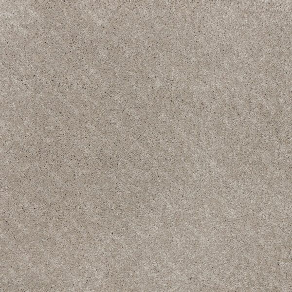 Moqueta pelo profundo confort Saxonydis textura suave polipropileno