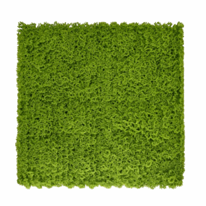 Jardín Vertical Musgo