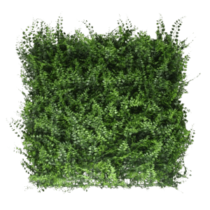 Jardin Vertical Pukekura